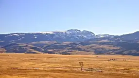 National Elk Refuge
