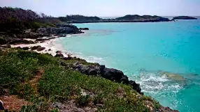 Nonsuch Island