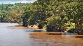 Greater Kruger National Park, Olifants River
