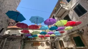 Kotor