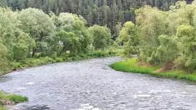 Dunajec Rafting