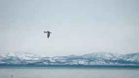 Port city on the Kamchatka Peninsula