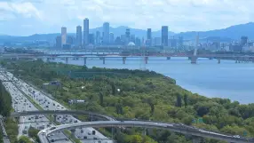 World Cup Bridge