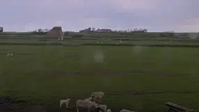 Sheep Farm De Waddel