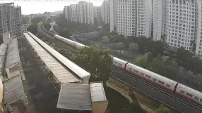 Woodlands