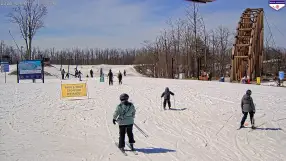 SkyBridge, Boyne Mountain Resort