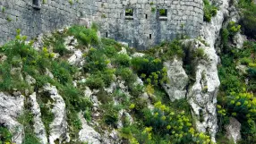Kotor Fortress
