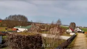 Stork's nest, Brest