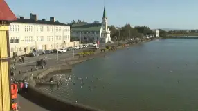 Tjörnin lake