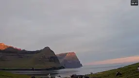 Viðareiði