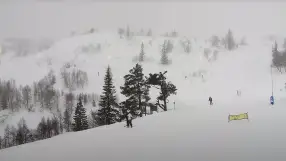 Voss Resort