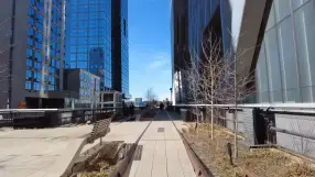 Walks live, New York City
