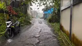 Walks live, Purbalingga