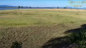 Tembo Plains Camp