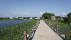 Horse Island
