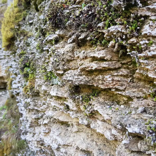 Kazu Grava (Goat's Gully) - photo 2