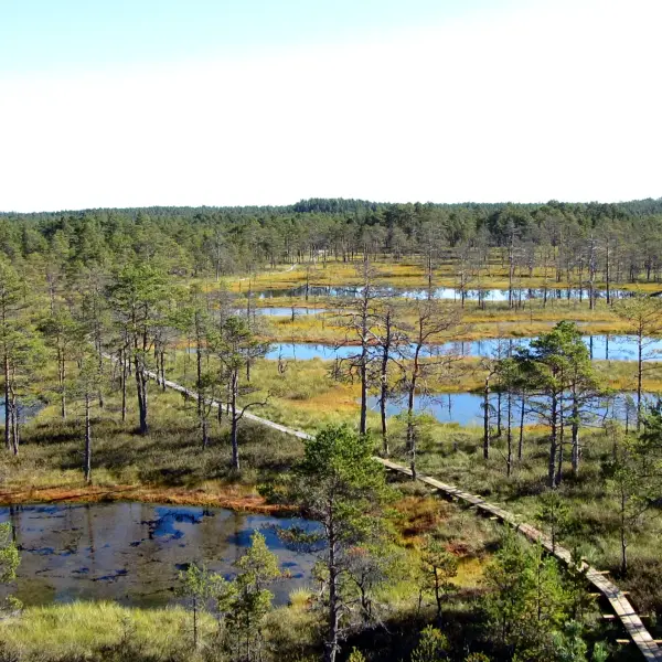 Lahemaa National Park - photo 1