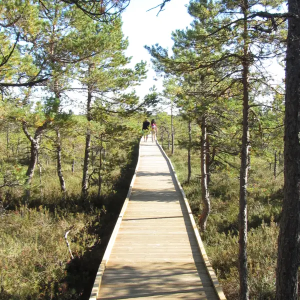 Lahemaa National Park - photo 2
