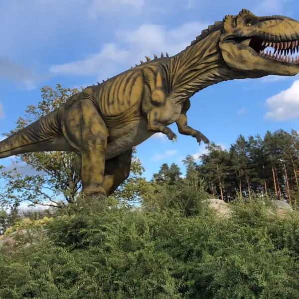 Amusement theme park „ABpark” - photo 5