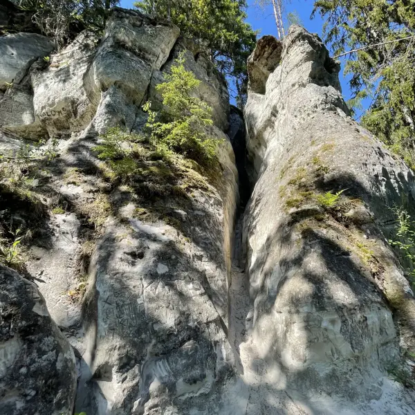 Cliff Sietiniesis - photo 4