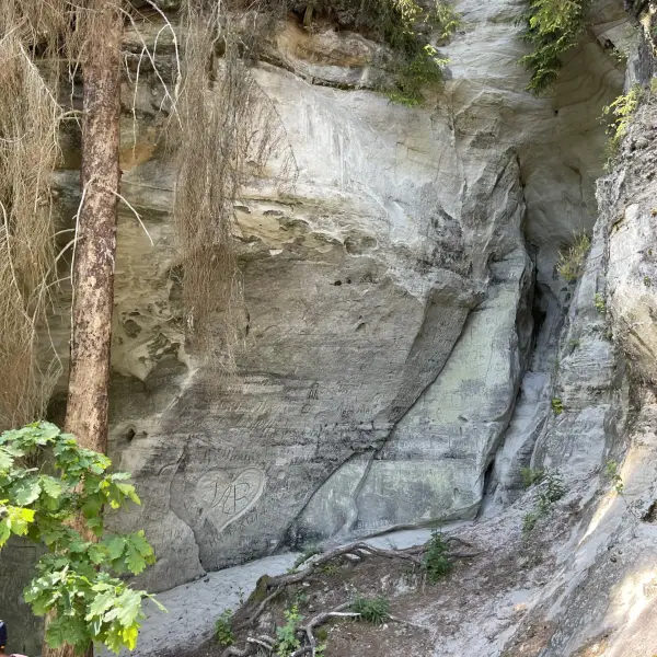 Cliff Sietiniesis - photo 3