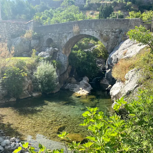 Olive Plantation - photo 1