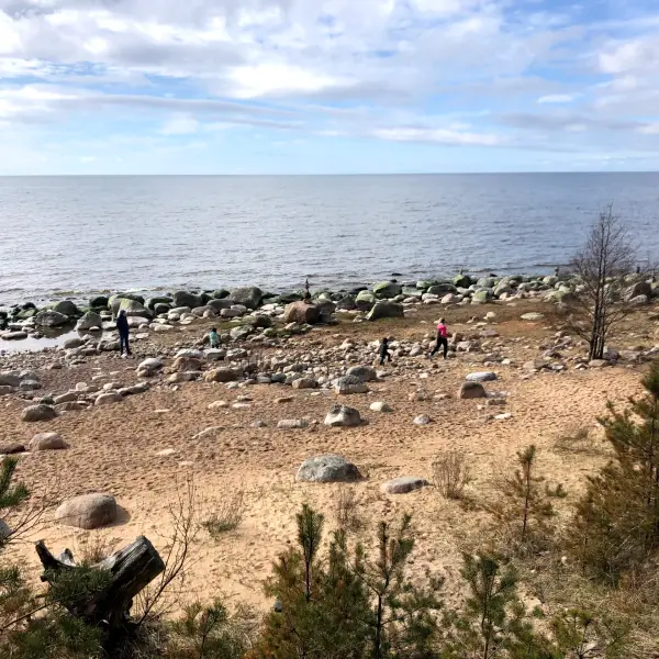 Veczemju klintis (Vezemju Cliff) - photo 3