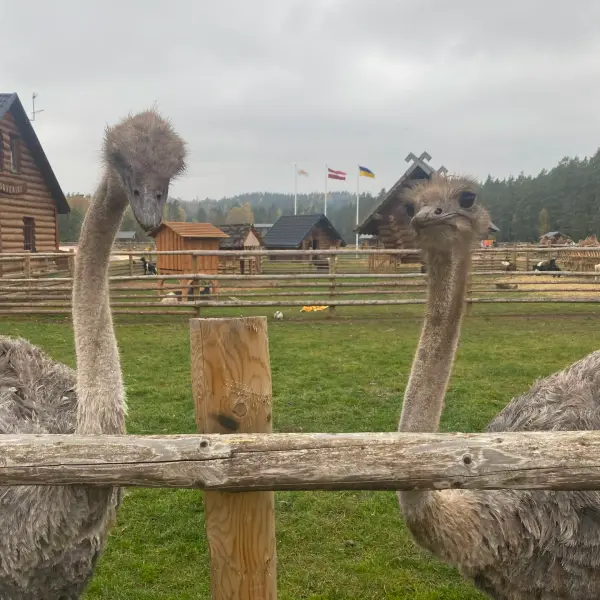 Zoo Rakši - photo 2