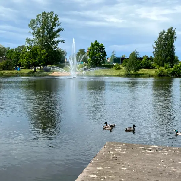 The old Park and Lake Teperis - photo 4