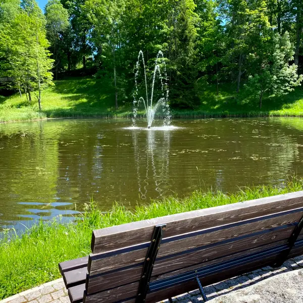 The old Park and Lake Teperis - photo 2