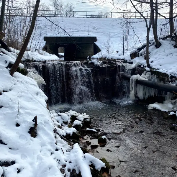 Ieriķu dzirnavas (Ieriku Mill) - photo 5