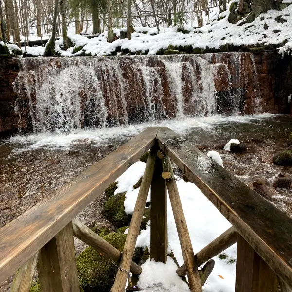 Ieriķu dzirnavas (Ieriku Mill) - photo 2