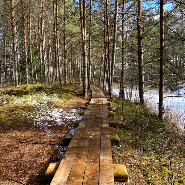Cena Swamp Trail - photo 1