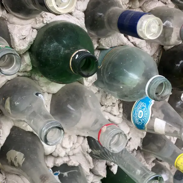 Bottle Garden - photo 2