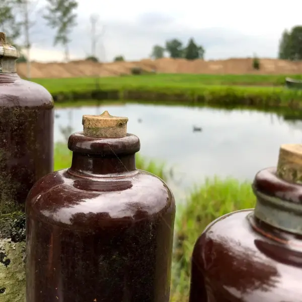 Bottle Garden - photo 3