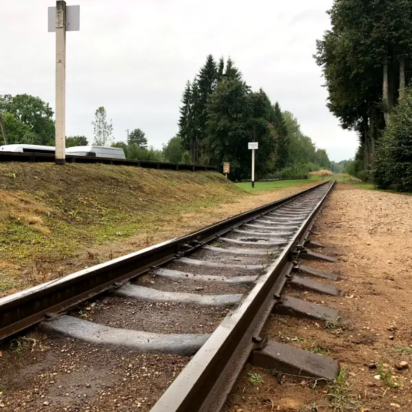 Narrow-gauge railway and Depot - photo 1
