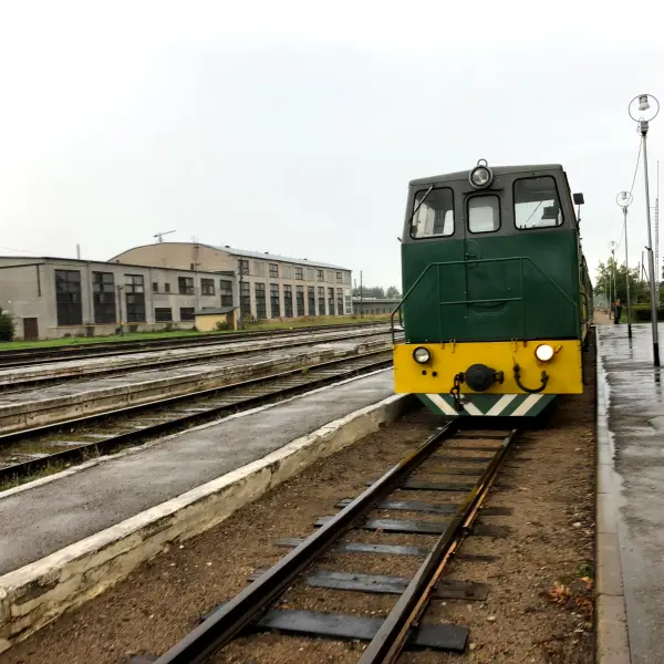 Narrow-gauge railway and Depot - photo 2