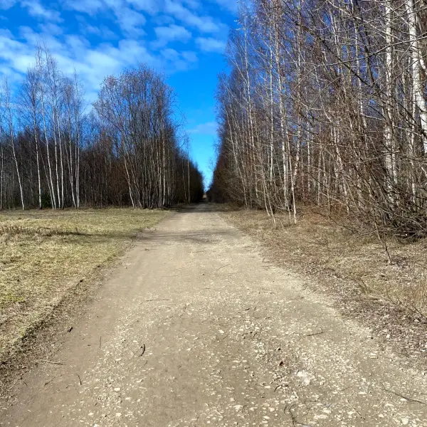 Nature trail and access to the sea - photo 2
