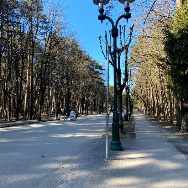 Mezapark - photo 5