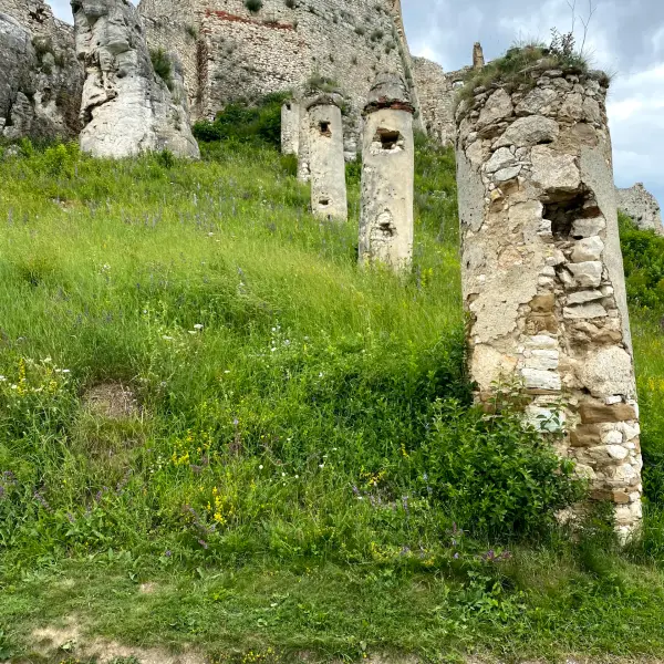 Spišský hrad (Spiš Castle) - photo 1