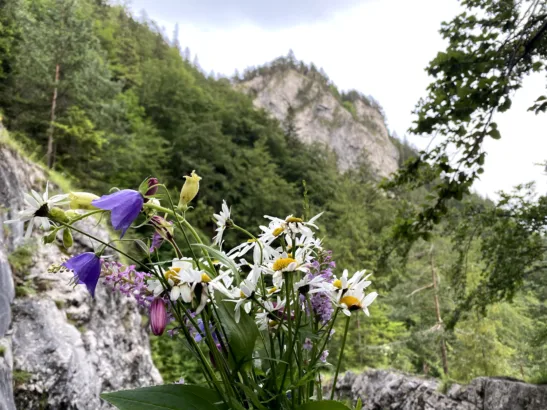Kvačianska dolina (Квачянская долина)