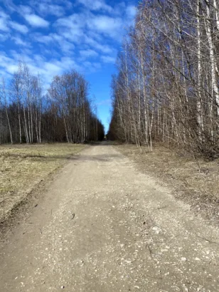 Nature trail and access to the sea