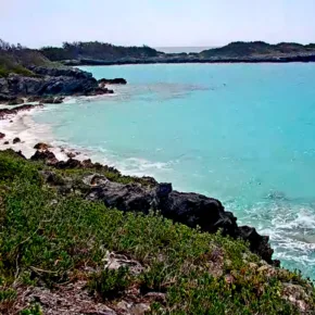 Pulau Nonsuch thumbnail