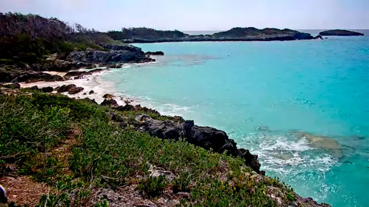 Nonsuch Island thumbnail