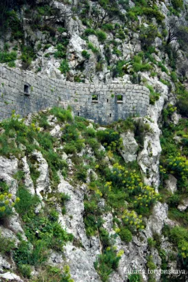 Kotor Fortress