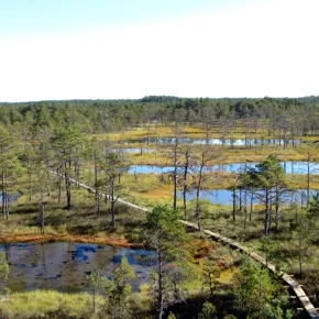 Lahemaa National Park thumbnail