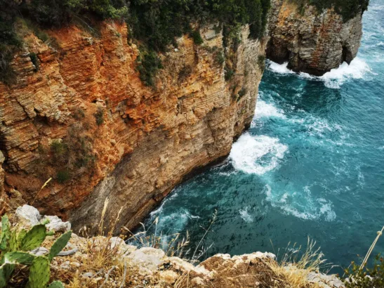 montenegro-fort-morhen-bahia