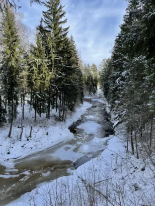 Viesatas Upesloki nature trail