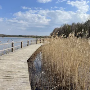 Natural trail around Liduma career thumbnail