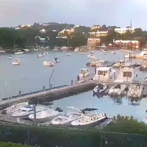 RHADC Hamilton Harbor thumbnail